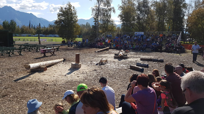 Lumberjack Show