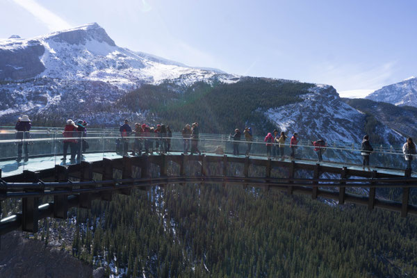 Skywalk beim Columbia Icefield