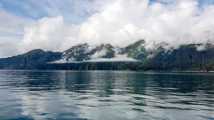 Bootstour Kenai Fjords