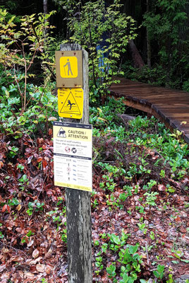 Rainforest Walk. Wölfe haben wir keine angetroffen :)