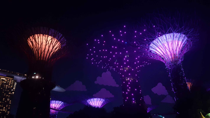 Gardens by the Bay Lichtshow
