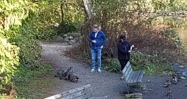 Stanley Park