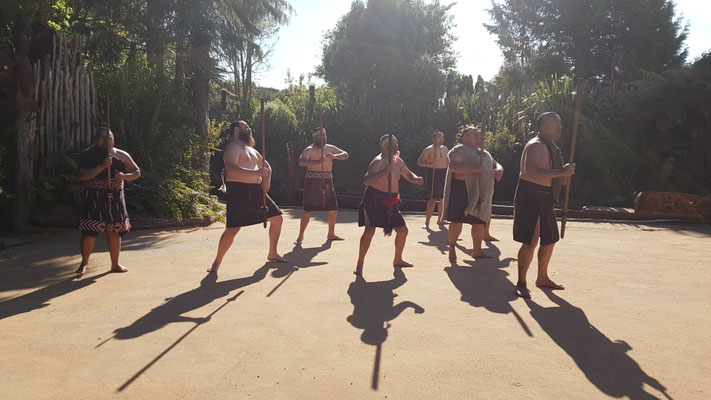 Maori Village