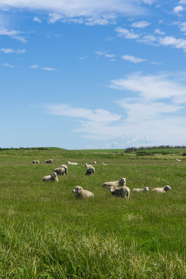 Catlins Region