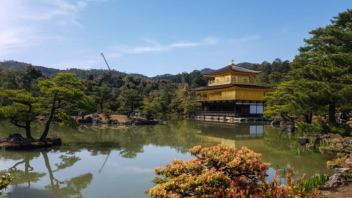 Kinkaku-ji Temple
