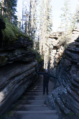 Athabasca Falls