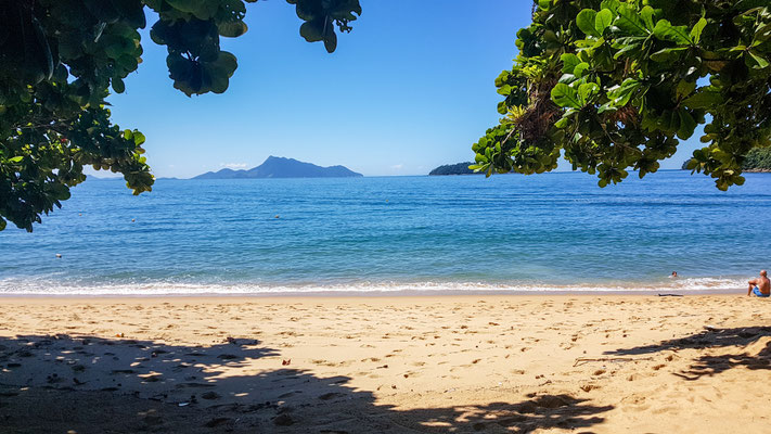 Strand Palmas