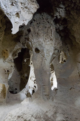 "Elephant" in den Galaxy Caves