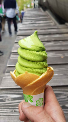 Macha Softeis 