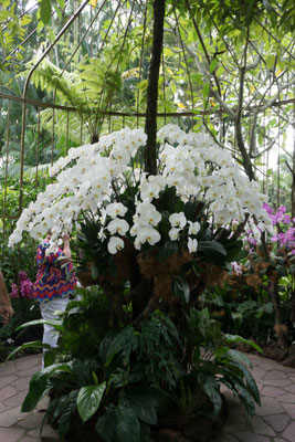 Botanischer Garten