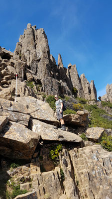 Cradle Mountain Wanderung
