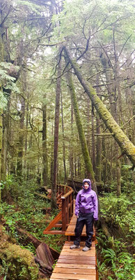 Rainforest Walk