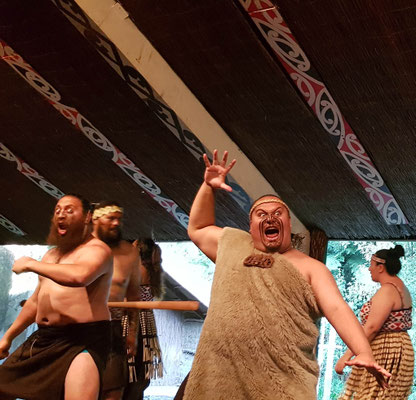 Maori Village