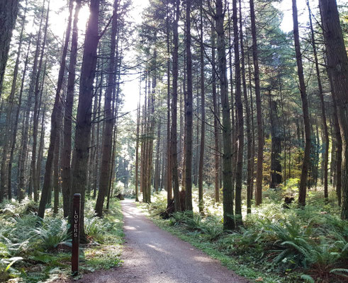 Stanley Park