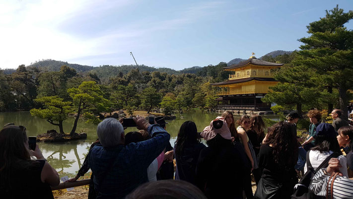 Der Kinkaku-ji Temple ist beliebt