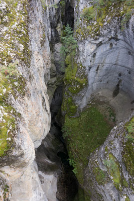 Maligne Canyon