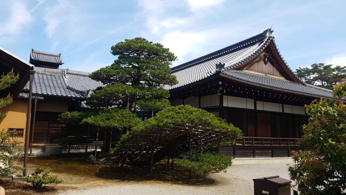 Kinkaku-ji Temple