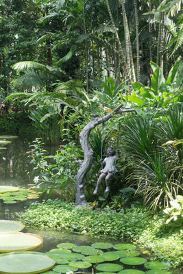 Botanischer Garten