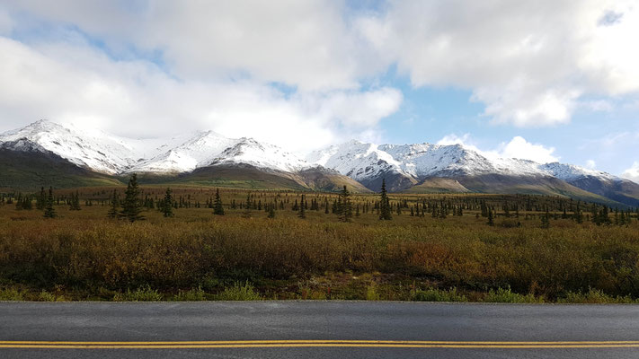 Denali NP