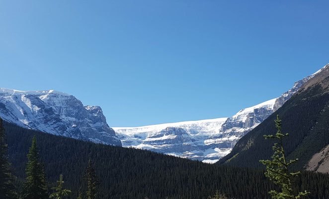 Columbia Icefield. wenn man genau hinsieht, erkennt  man das dicke Eisfeld auf dem Berg