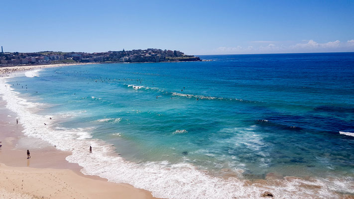 Bondi Beach