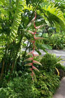 Botanischer Garten