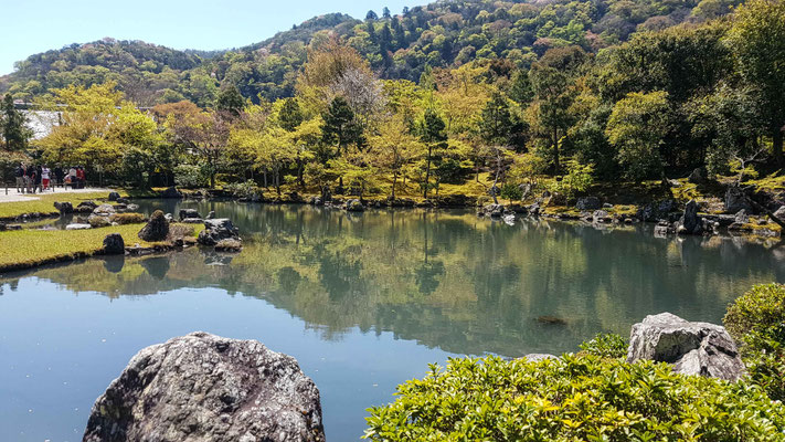 Tenryu-ji Temple 