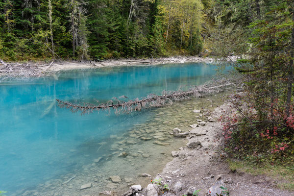 Kinney Lake