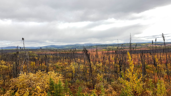 Highway nach Kanada