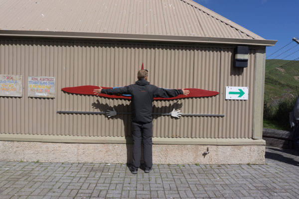 Spannweite Albatros