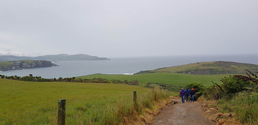 Catlins Region