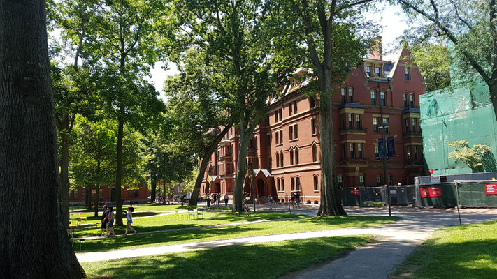 Harvard