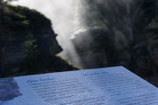Athabasca Falls. Und kalt:)