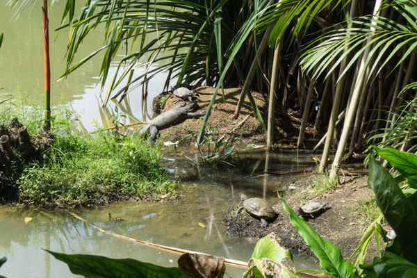 Botanischer Garten