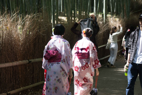 Arashiyama Bamboo Grove