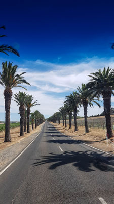 Barossa Valley