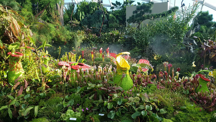 Gardens by the Bay