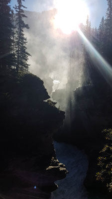 Athabasca Falls. Es war noch frühmorgens