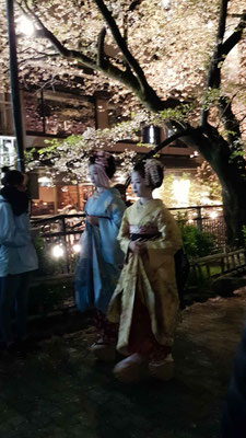 Geishas in Gion