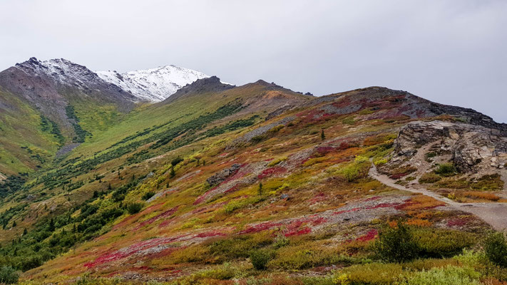 Tundra 