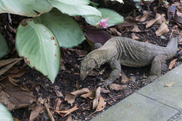 Botanischer Garten