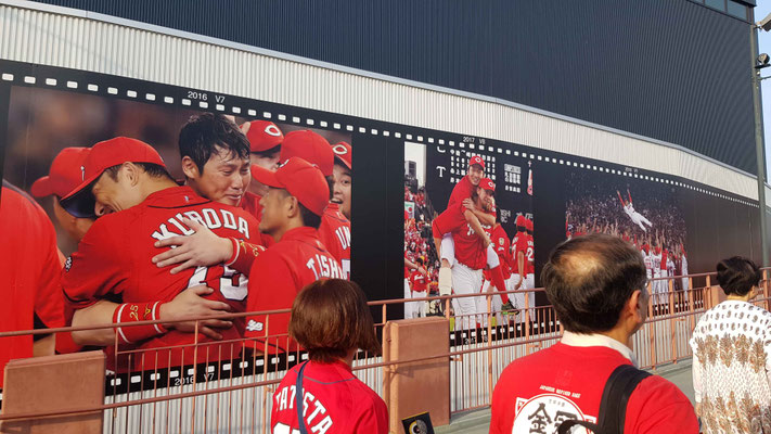 Hiroshima Carp