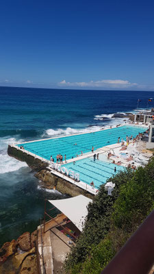 Küstenweg vom Bondi Beach