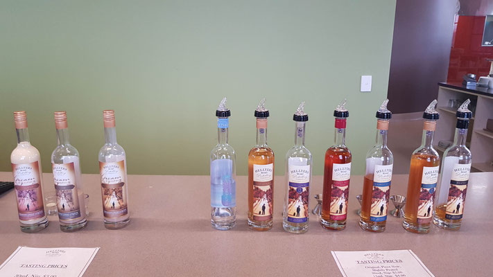 Whisky Degustation