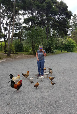 Huhn mit Hühnern :)