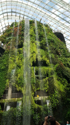 Gardens by the Bay