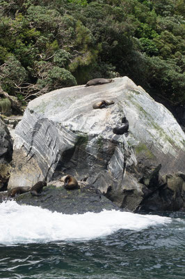 Milford Sound