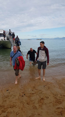 Abel Tasman Nationalpark. Das Boot fuhr bis an den Strand!