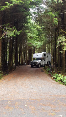Mega cooler Campingplatz im Pacific Rim Nationalpark. Man fühlt sich ein bisschen wie in Jurassic World:)