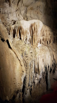 Abel Tasman Nationalpark Tropfsteinhöhle